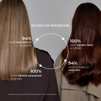 Multi‑Styler Iónico